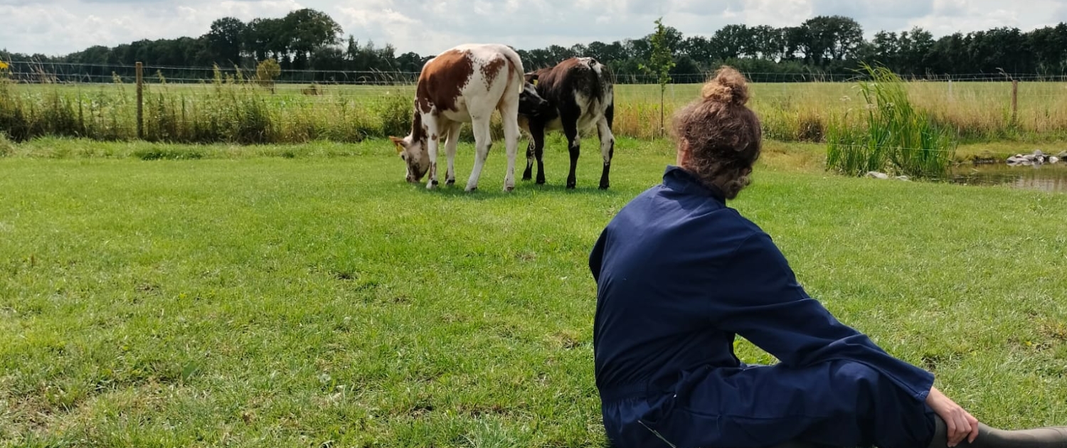 De Valkse Knuffelhoeve Impressie